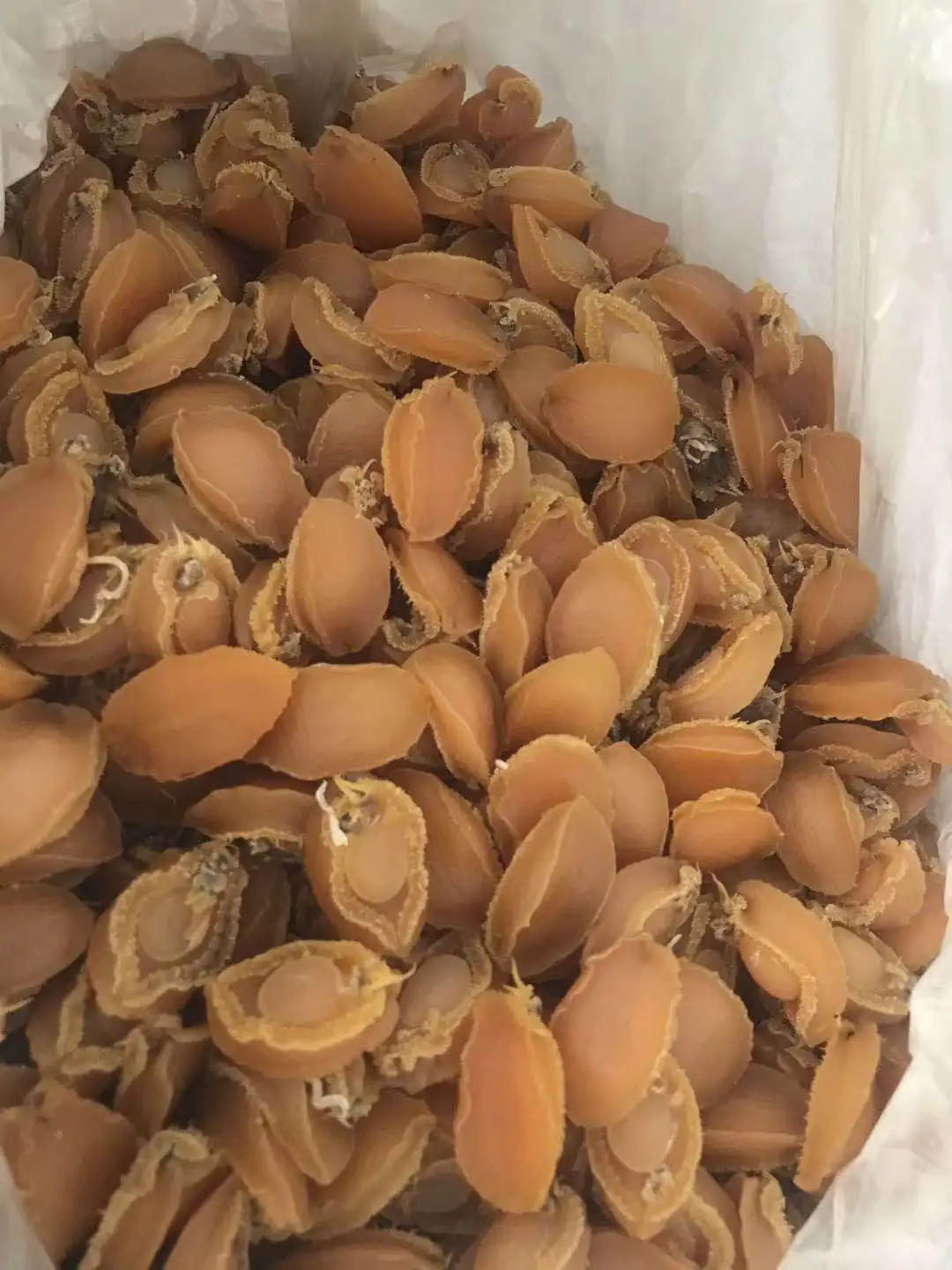Сушеные морепродукты морское ушко мясо сушеная раковина Галиотис