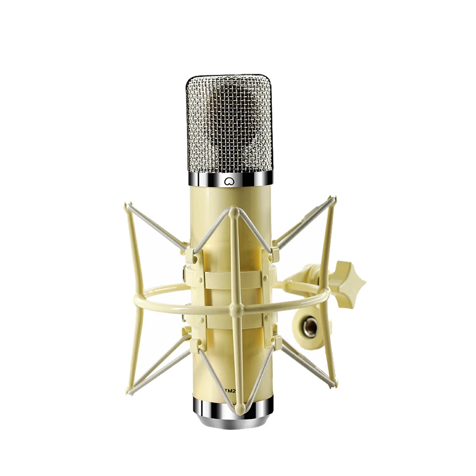 OEM Professional Broadcasting Recording Large Diaphragm Metal Wired Singing XLR Condenser Microphone