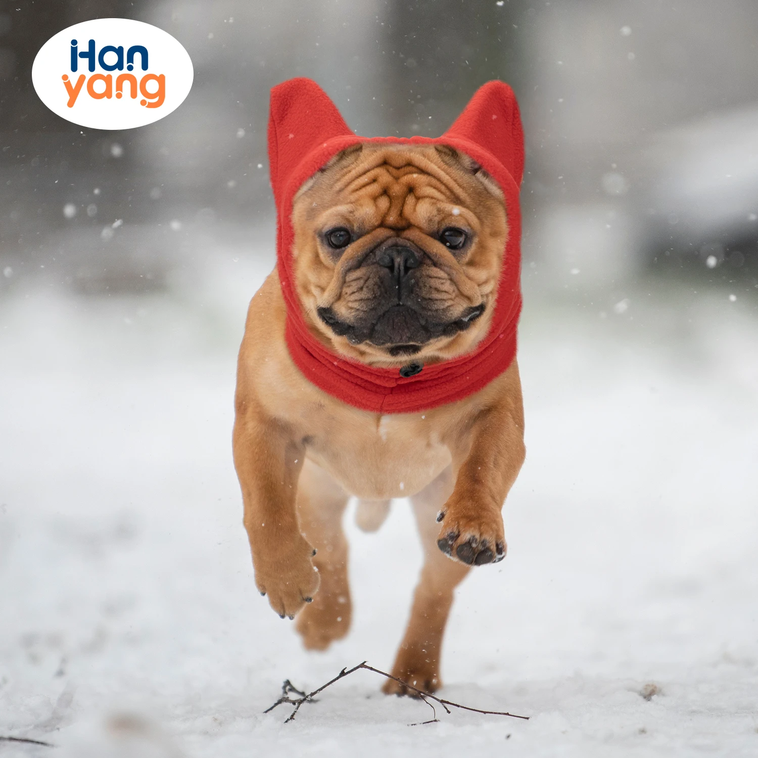 HanYang OEM Custom Adorable Headdress Pet Dog Cute Warm Bear Hat Cap For Cat Cute Ear Costume Cat Hat