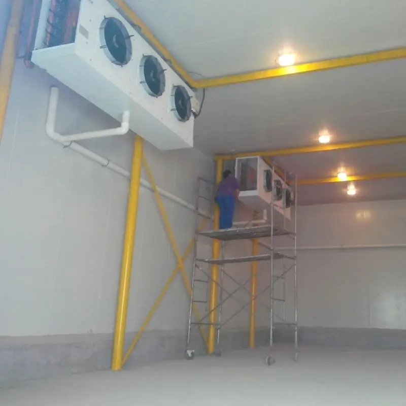 Low Cost Freezer Room For Supermarket