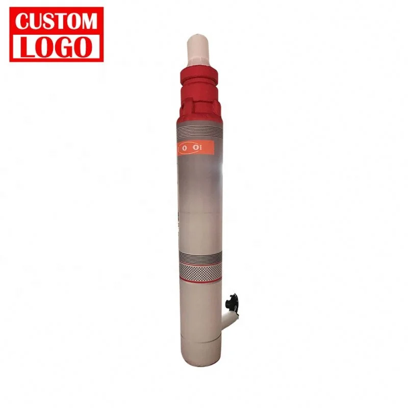 Custom Logo Big Large Outdoor Advertising Inflables Product Printing Inflatable Model Custom Inflatable