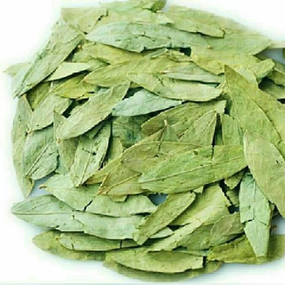 Senna Leaf for Food & Beverage