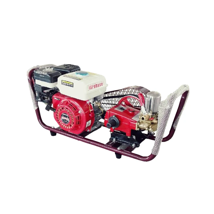 three Piston Pump 6.5 HP Gasoline Portable frame Power Sprayer