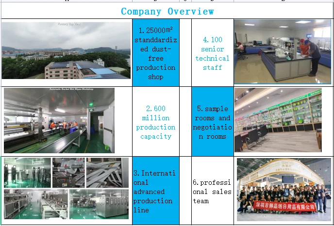 company overview.png
