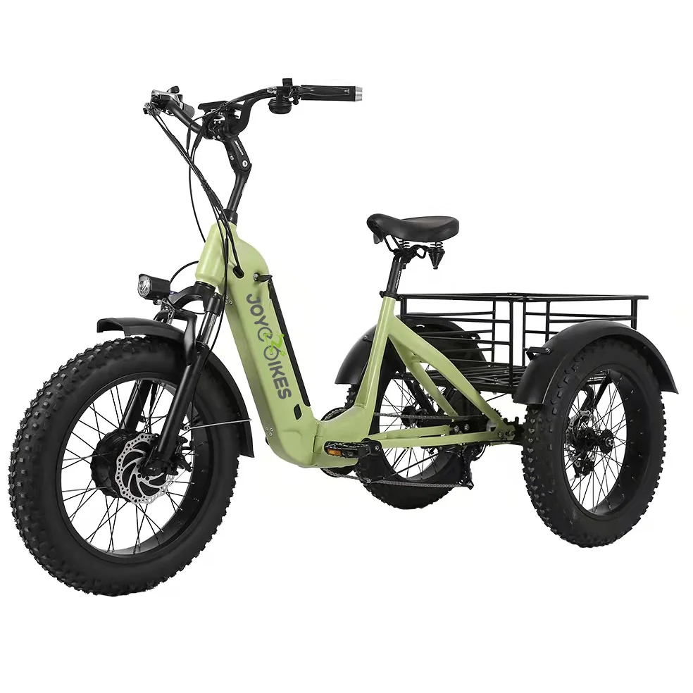 Joyebikes Super Quality 3 Wheels 48V 500W Motor Electric Bike Electric Tricycle for Cargo Delivery