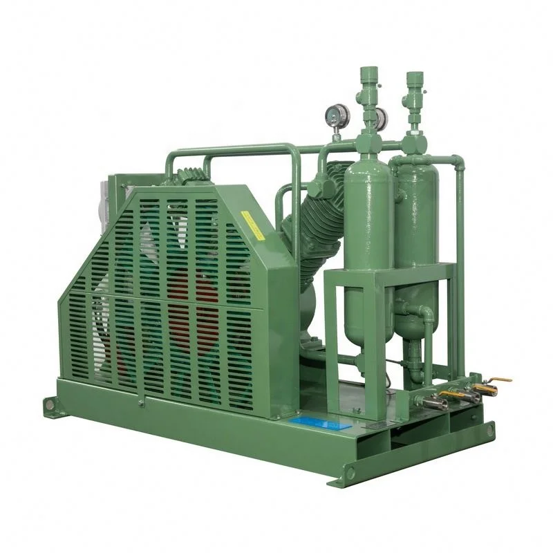 Custom Or Standard Wholesale Price Small Hydrogen Piston Compressors