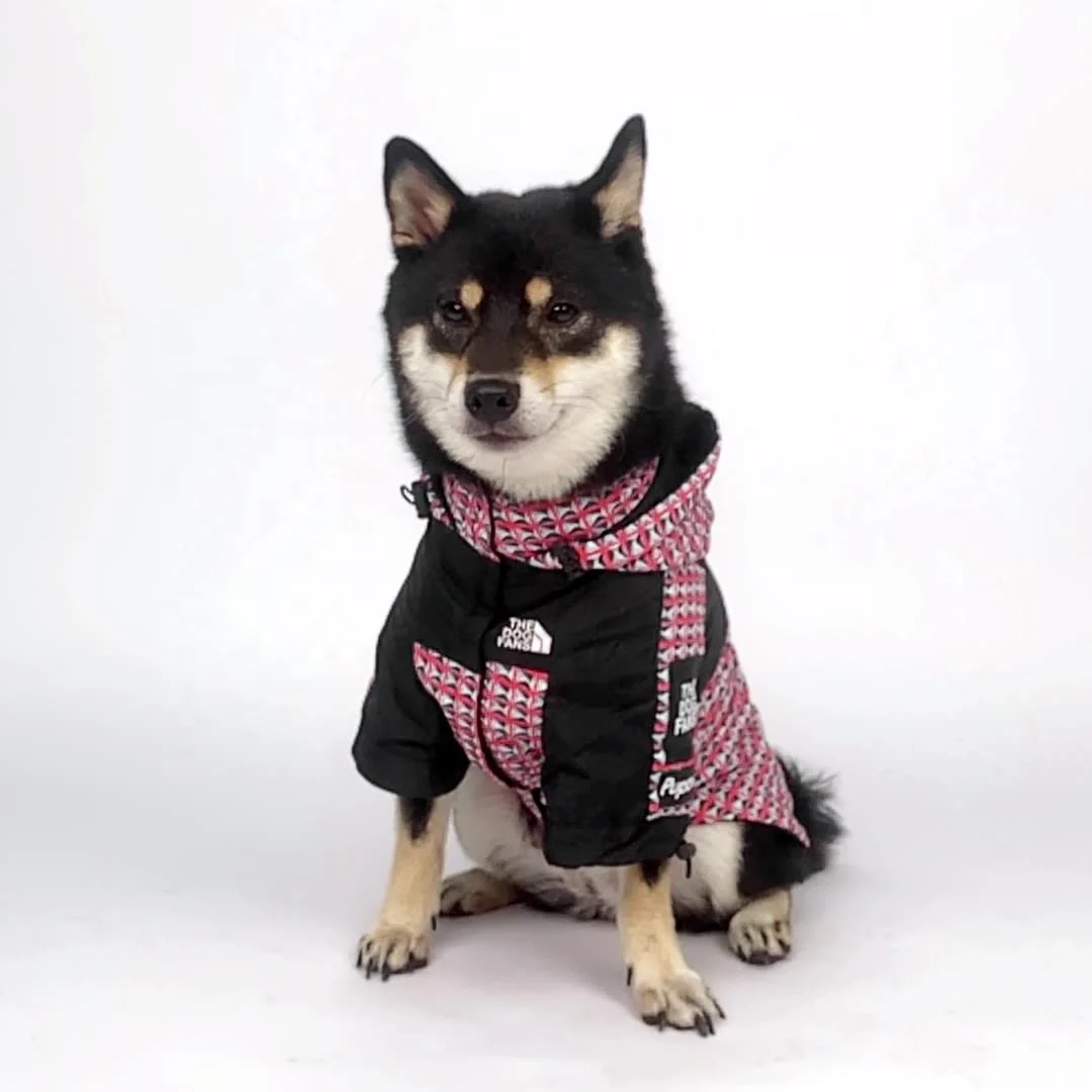 Rivet pattern tide brand windproof and rainproof stitching color new dog large dog raincoat dog pet jacket