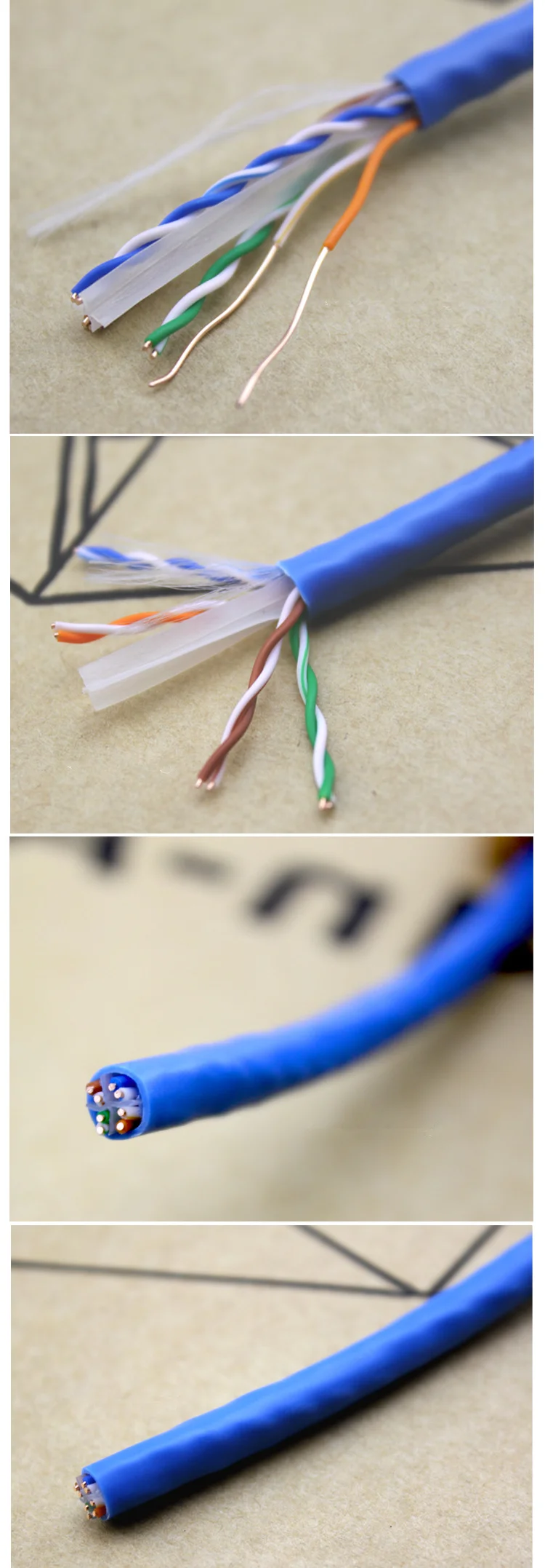UTP CAT6.png