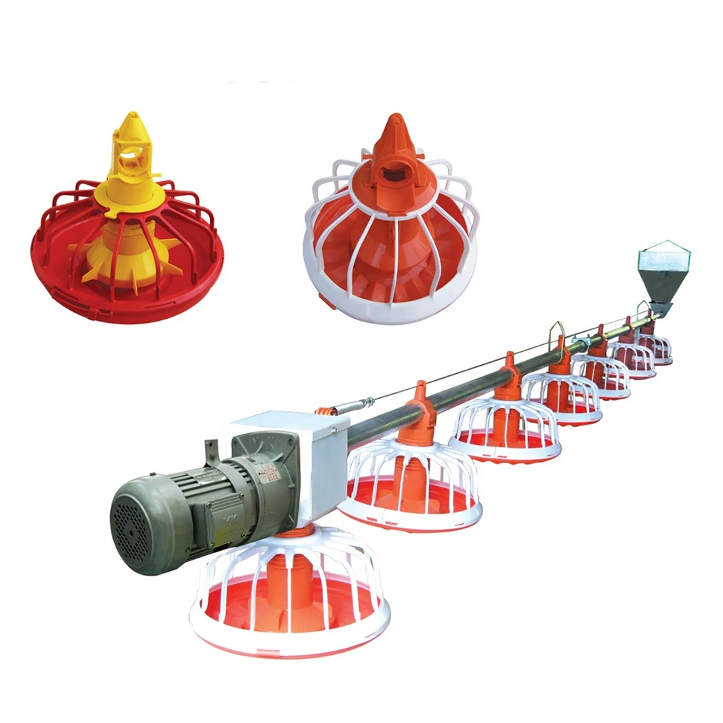 Hot Sale Broiler Chicken Automatic Broiler Floor Feeding System Auger Feed System For Poultry