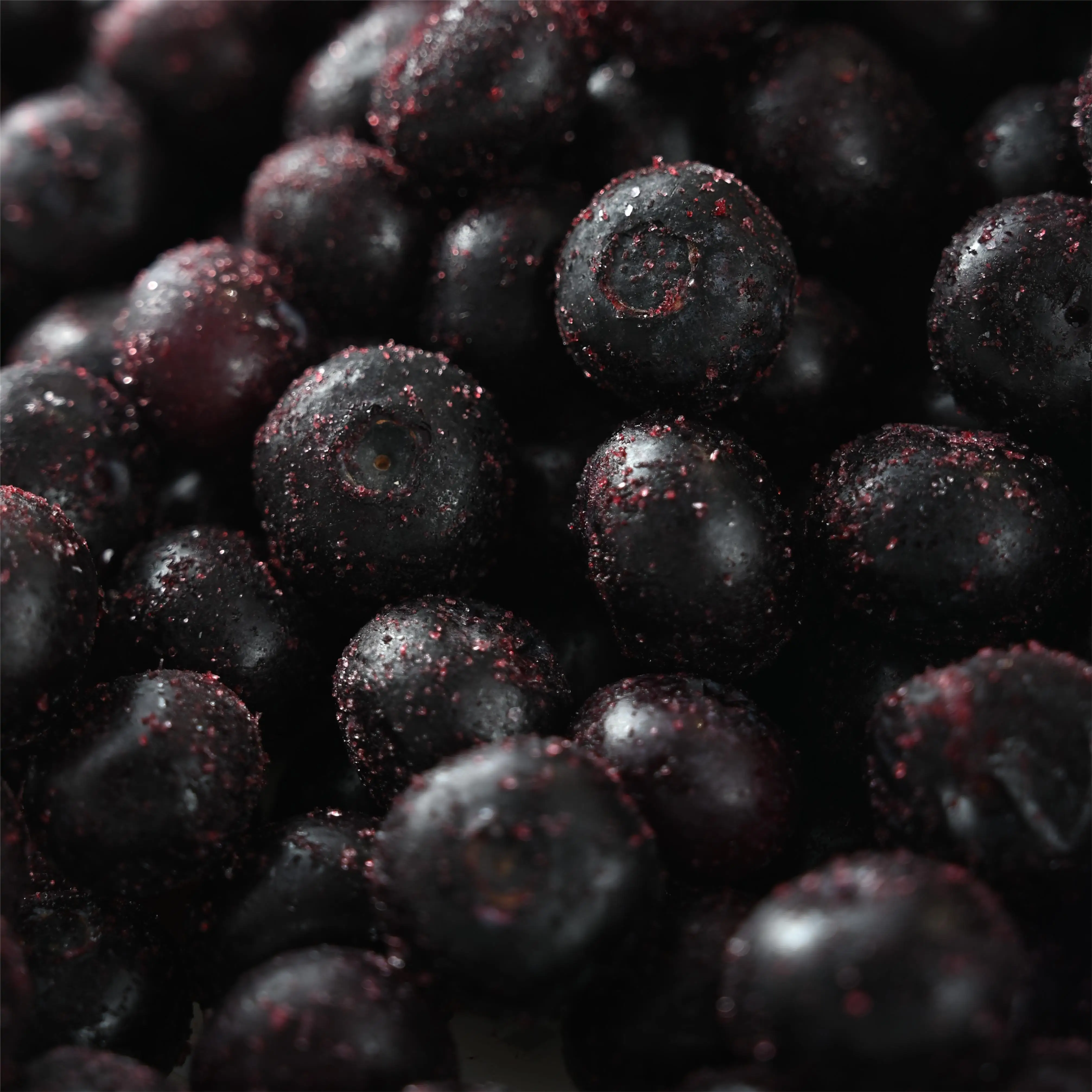 IQF factory direct export frozen blueberry wholesale frozen blueberry Wholesale Price 1kg Frozen Blueberry with BRC A