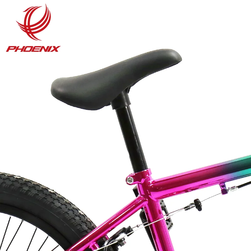 PHOENIX Early Christmas shopping Performance Bike 20 Inch BMX Steel Frame  MINI BMX Free Style Bicycle Manufacturer