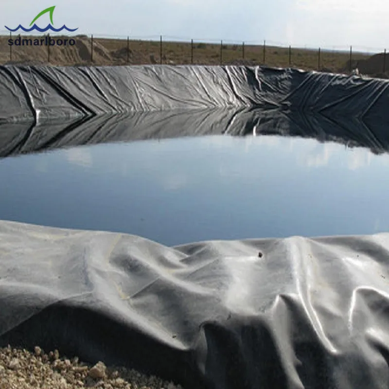 for pond is impermeable and corrosion resistant with HDPE 1.0mm geomembrage