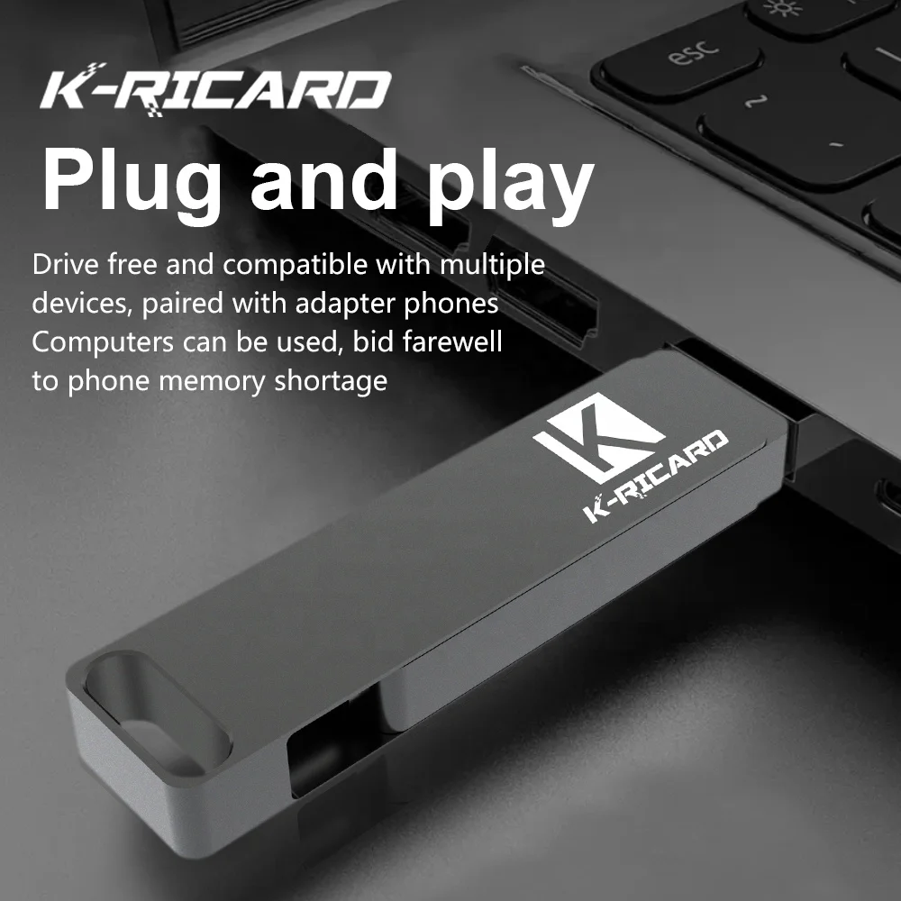 Hot Sales Custom 3.1 OTG Fastest Cle Usb Sticks 128GB  256GB 512GB 1TB 2TB Metal Usb C Memory Flash Drive for android type c