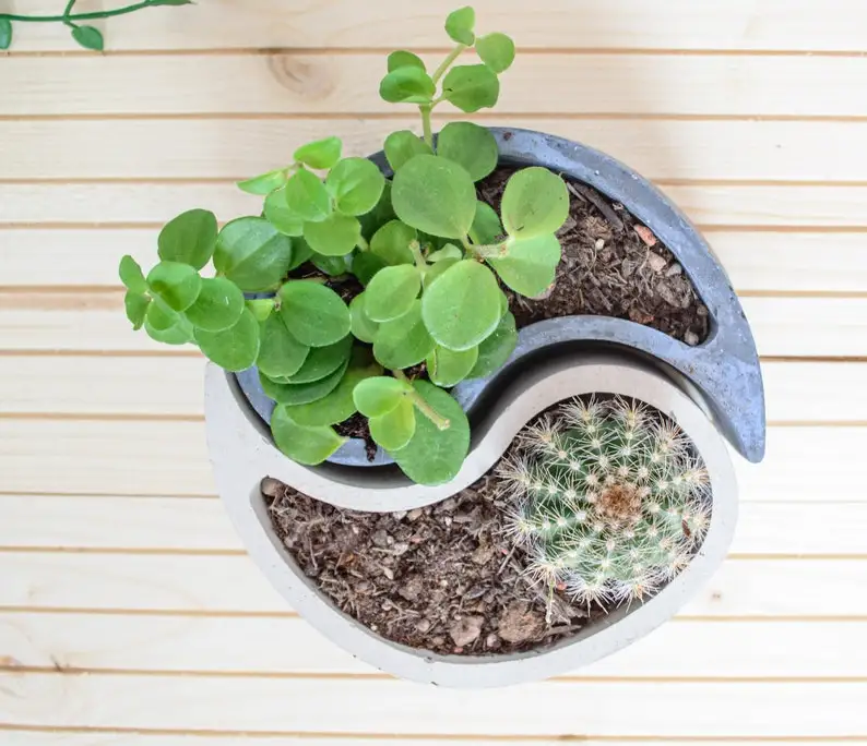 DIY Creative Tai Chi Shape Clay Cement Silicone Mold Succulent Plants Yin Yang Flower Pot Mould
