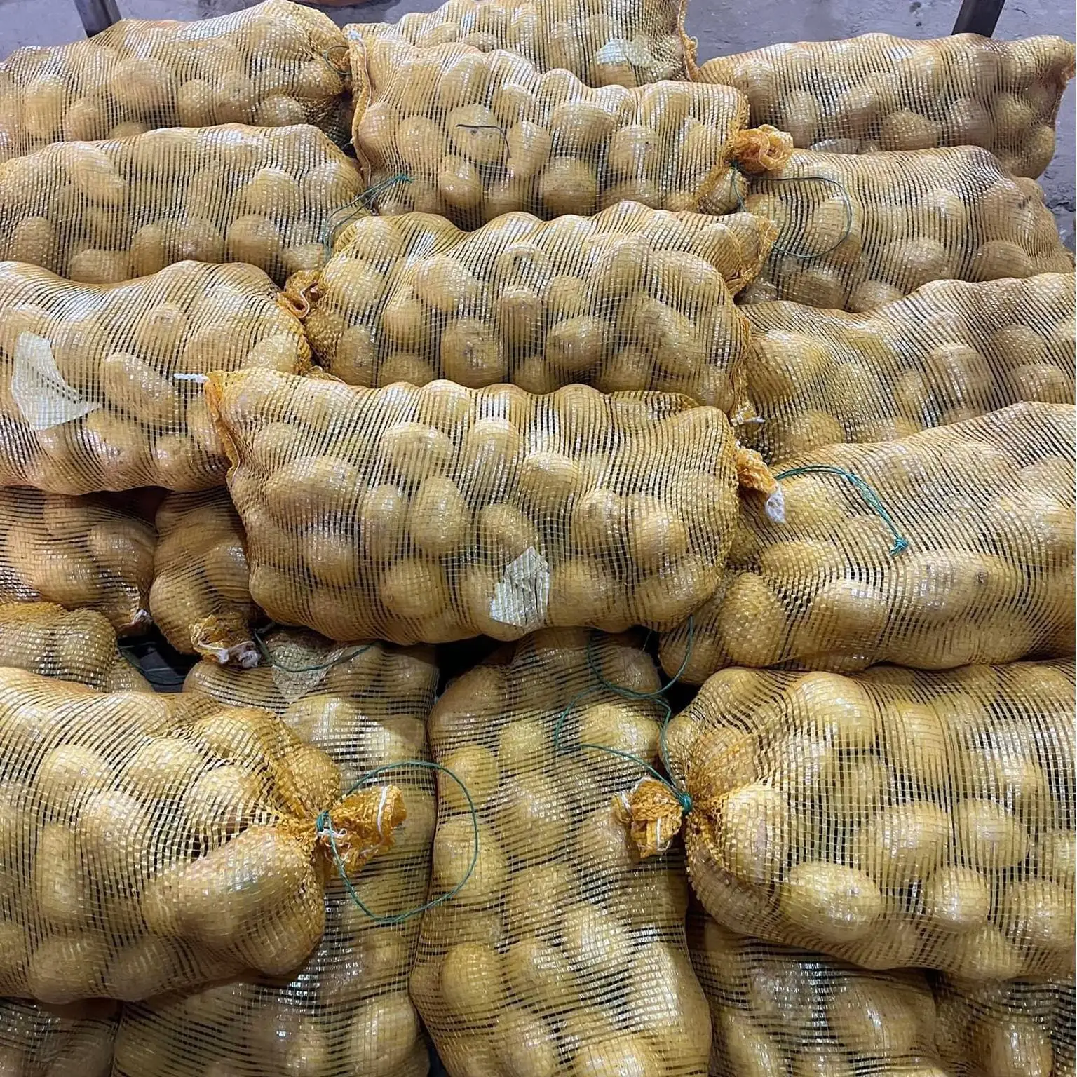 China New Harvest Fresh Organic Yellow Potato Best Price Factory Whole Round Seeds