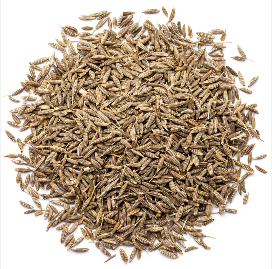 Organic Cumin Seeds single spices cumin seed cumin-price Sesame seed Agriculture Best Product From Thailand