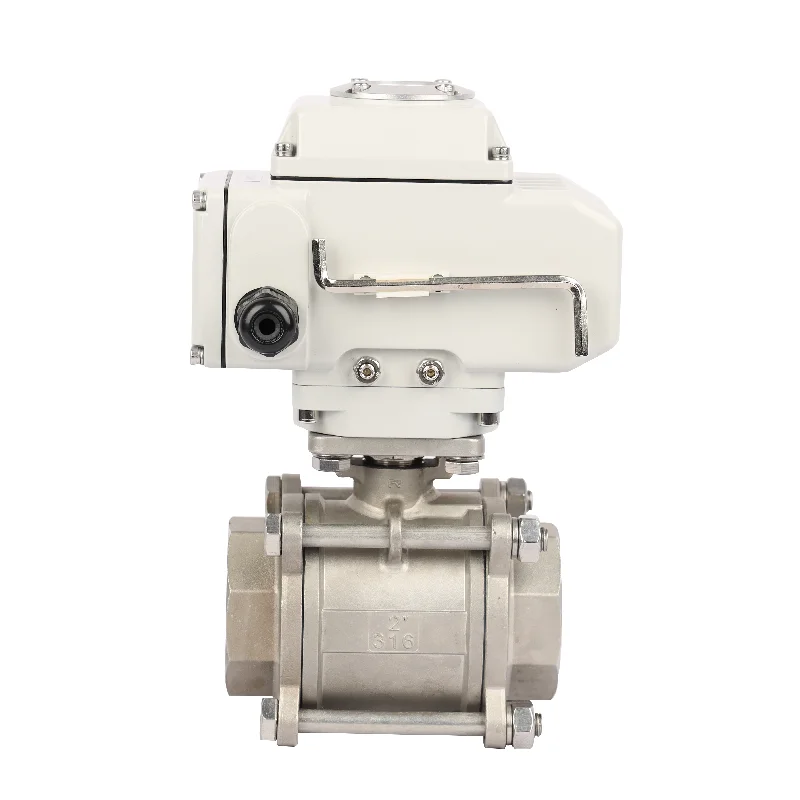 DN32 2 Way SS Motorized Electric Control Ball Valve 24v 220v Electronic Actuator Modulated Stainless Steel Valve