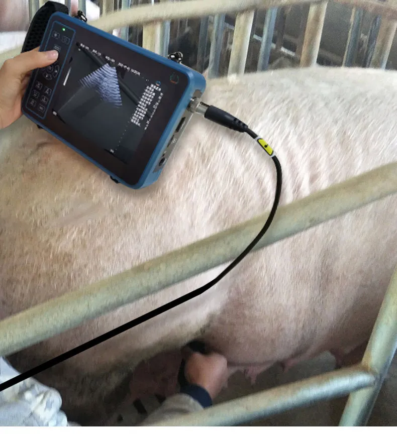 Livestock Veterinary Ultrasound Machine Pig Sheep Cattle Animal B Ultrasound Pregnancy Detector HD Portable Pregnancy Detector
