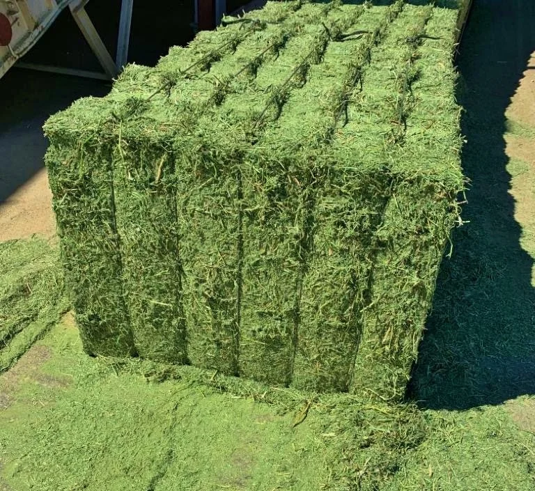 Premium Grade A+ dried Timothy Hay sheep Animal Feed cubes sudan spain price per ton Alfalfa Hay bales for sale