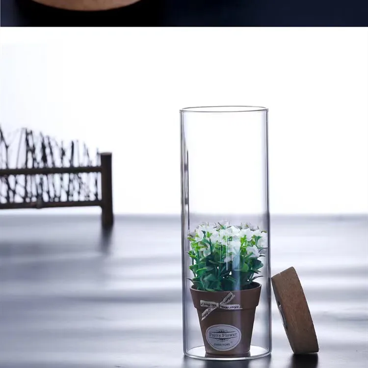 Nordic Tall Cylinder Clear Glass Vase Home Decor Wedding Desktop Micro Landscape Tree Bonsai Small Tabletop Vase Transparent