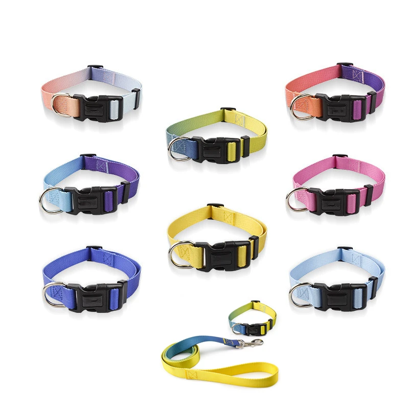 Amazon Hot custom Sale Pet Collar Traction Rope Suit Dog Walking Cat Rope Gradient Color Solid Color Nylon Dog Collar luxury