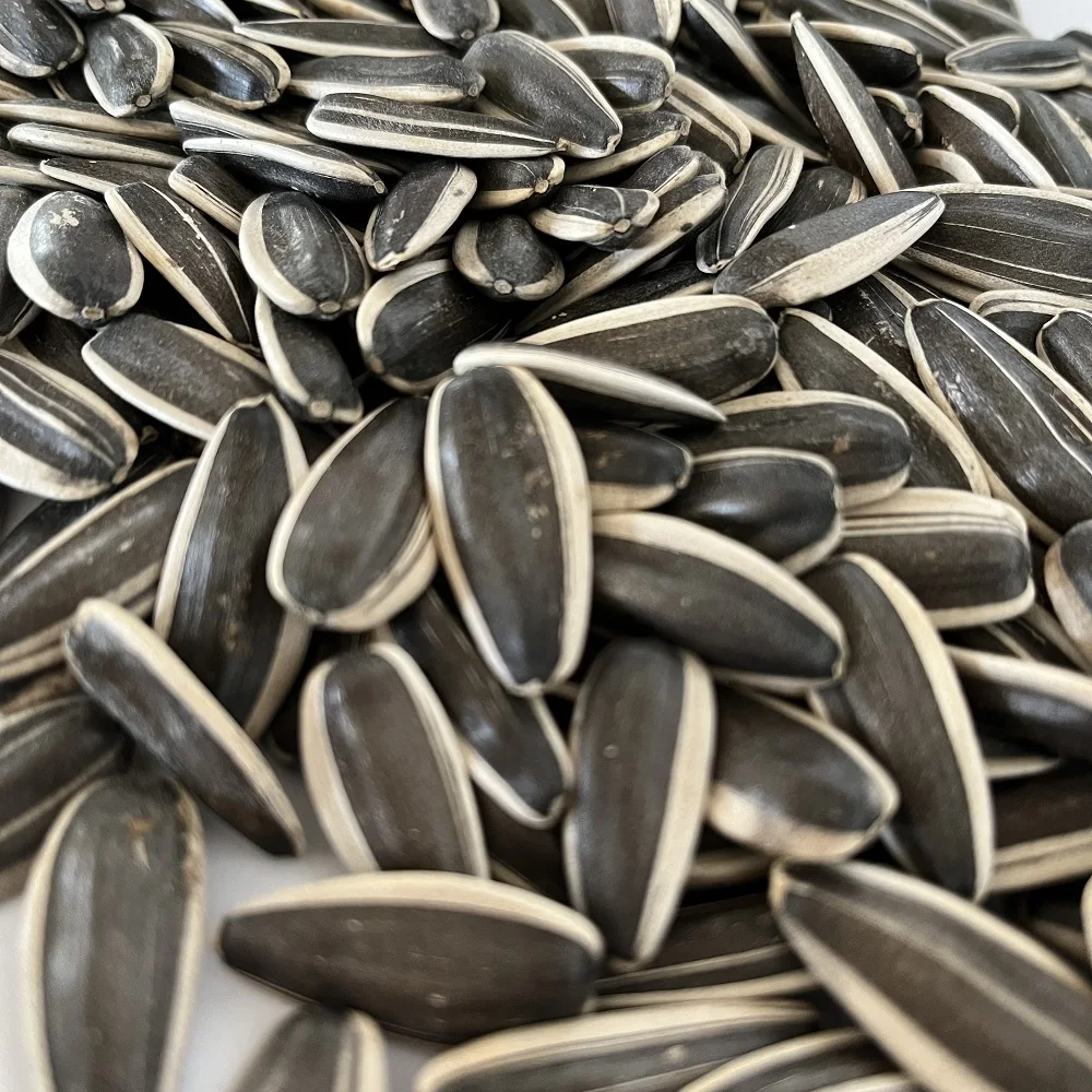 raw sunflower seed, discount sunflower seeds for planting