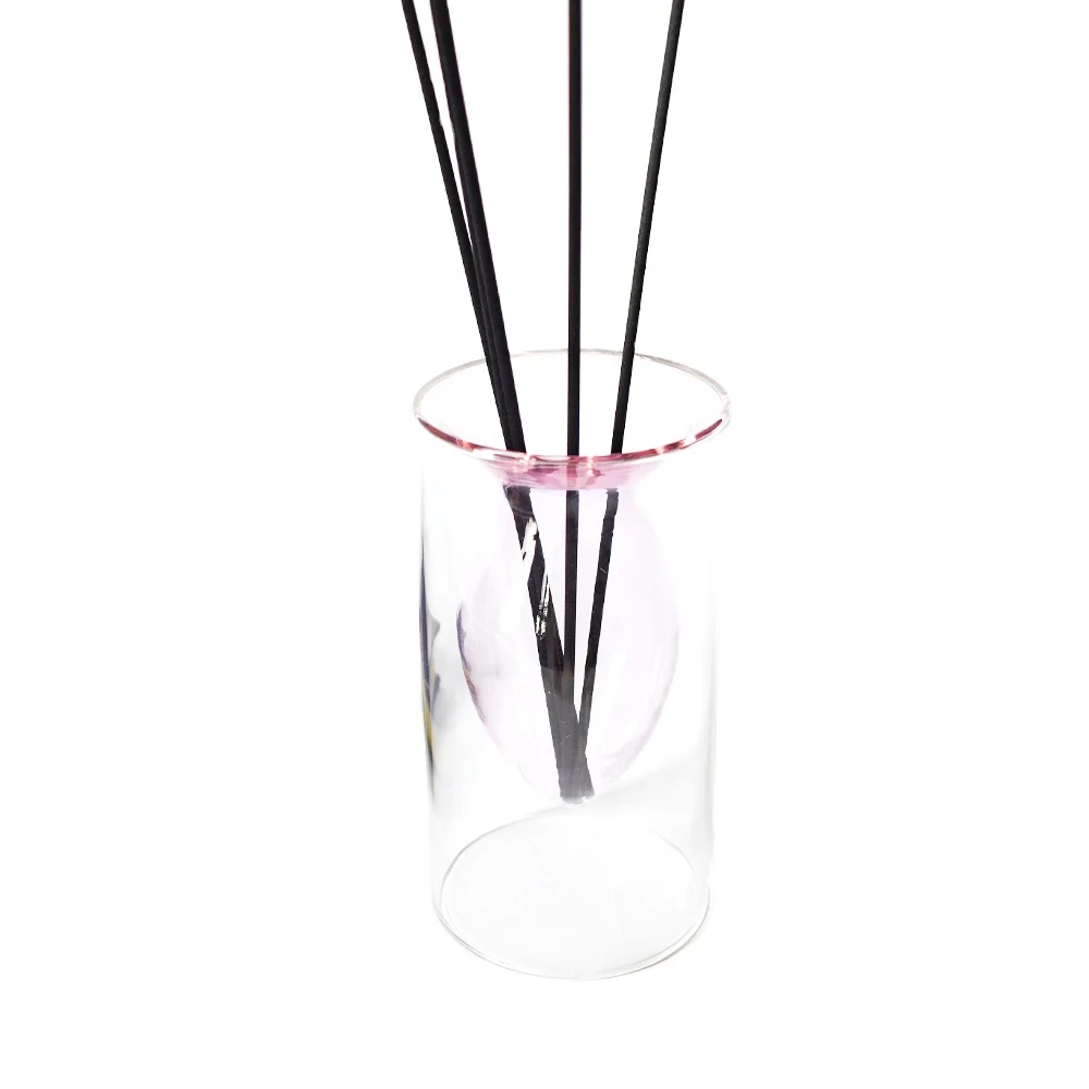 LZ Wholesale Borosilicate 100 ml 100ml Double Wall Empty Clear Pink Green Blue Home Decorative Glass Reed Diffuser Bottle