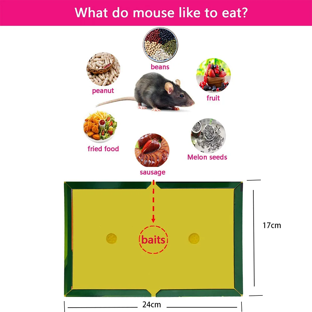 Insect Sticky Mouse Board Efficient Rodent Control Rat Snake Adhesive Non Toxic Environmental Protection Moue Glue Trap