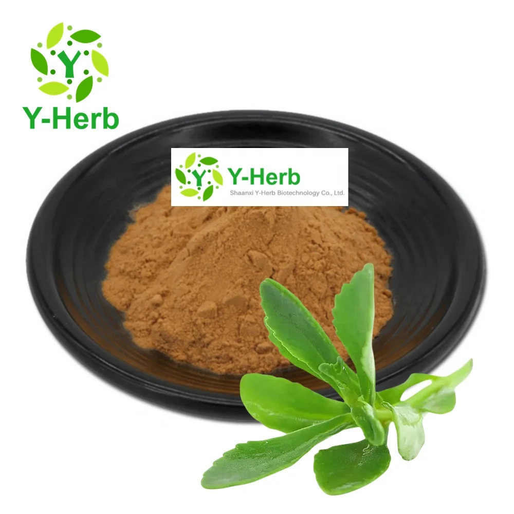 Gynura Procumbens P.E. Raw Dried Gynura Procumbens Powder 10:1 Longevity Spinach/Gynura Procumbens Extract