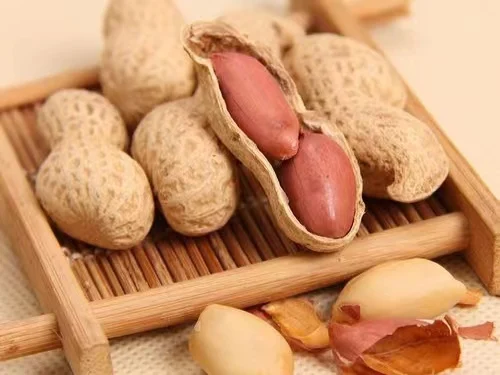 Factory Directly Wholesale Dried Roasted Peanuts/Groundnut in Shell Cheap Price Snack Use Peanut