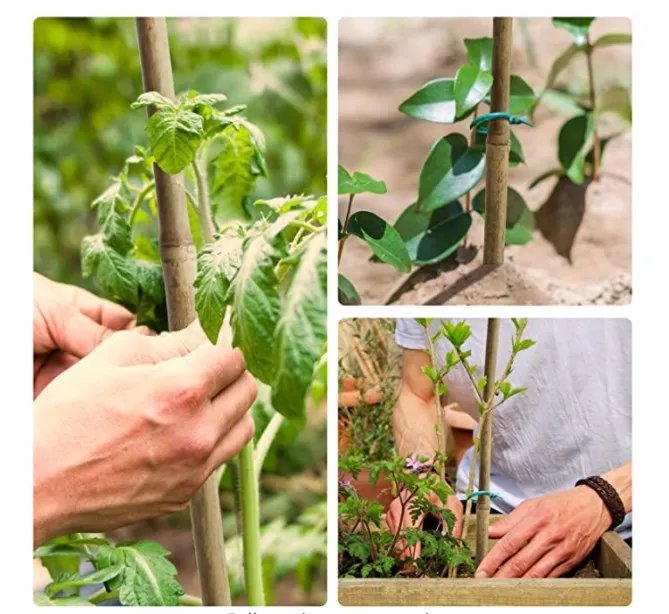 Bamboo fiber poles bamboo raw material prices based on sizes and quantity