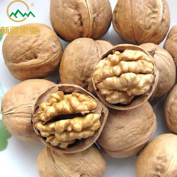 Высшее качество, Синьцзян nueces, все типы натуральных сушеных грецких орехов в скорлупе, цены, закуска грецкого ореха