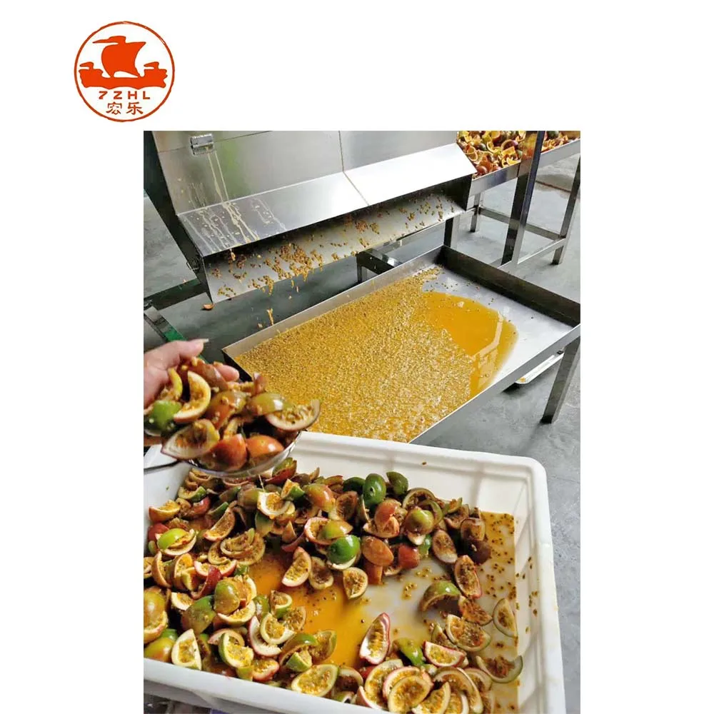 Full Automatic Industrial Pomegranate Passion Fruit Juice Making Machine Seed Separator Juicer Processing