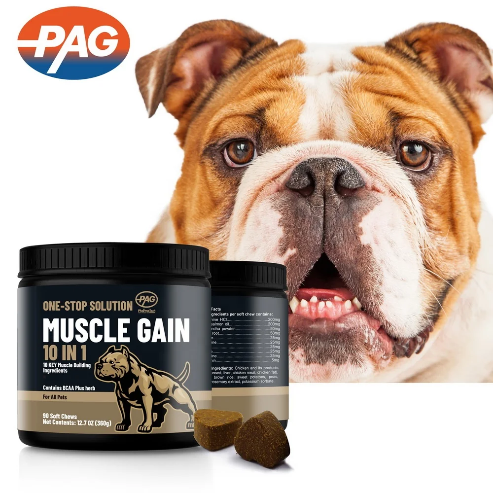 High Protein 10-In-1 Pets Food Supplement Delicious Flavor Chew Bites Pet Care Dog Muscles Builder Supplement For Racing Dogs