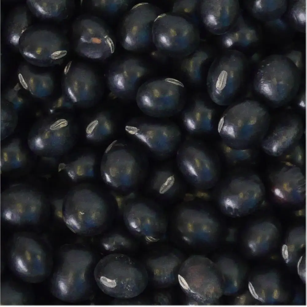 Hot sale no calorie packing Japanese paper bag flavor tea drink