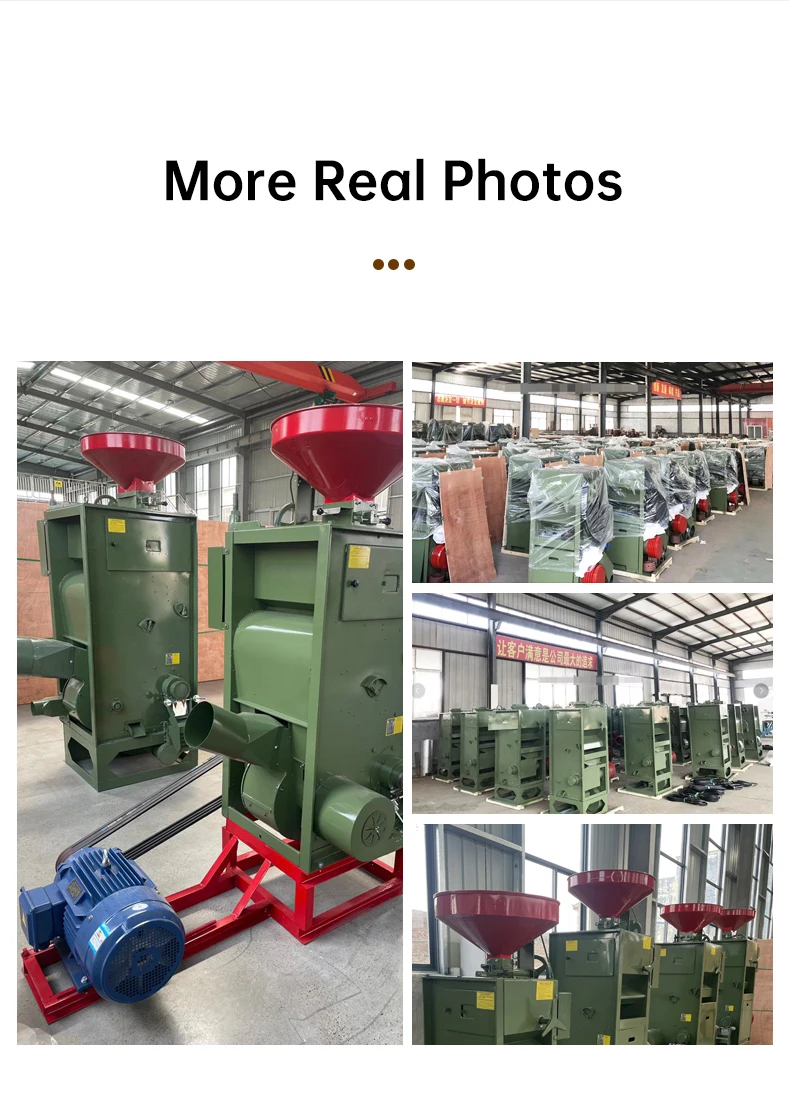 Home Used Satake Rice Mill/Rice Husker Paddy Rice Huller