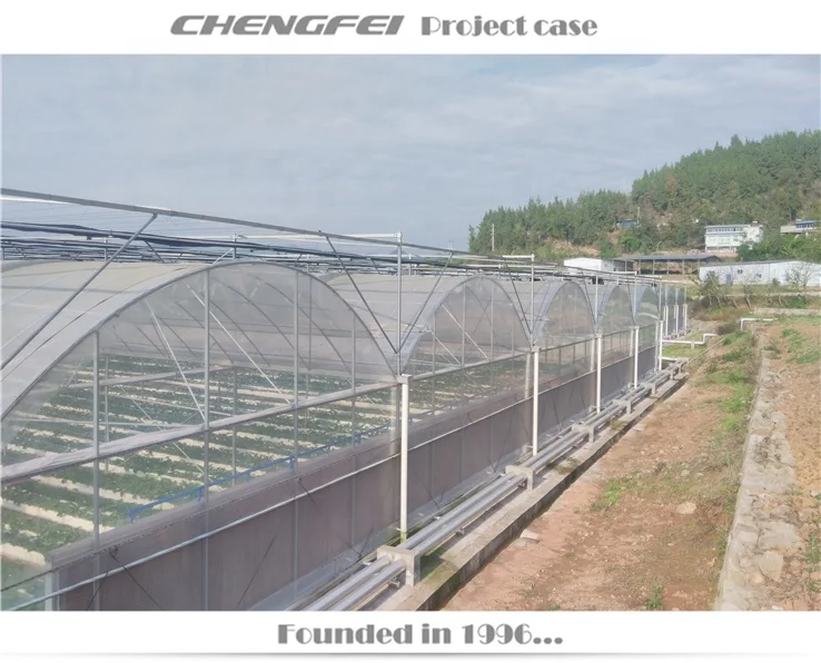 Multi-span agricultural flower vegetable plastic commercial etfe pe film greenhouse supplier for sale