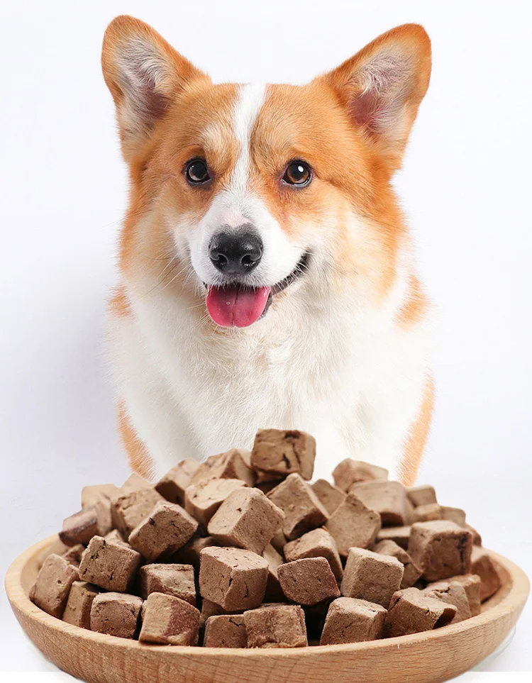 High Quality Chicken Liver Cubes Freeze dried Treats Snack Dog Freeze Dried Pet Food