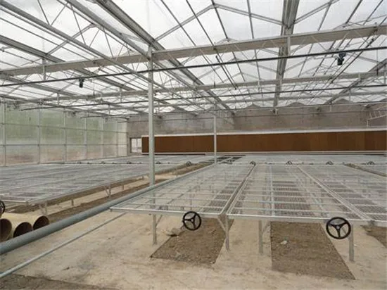 
high end flower rose/tulip growing greenhouse with exact climate control 