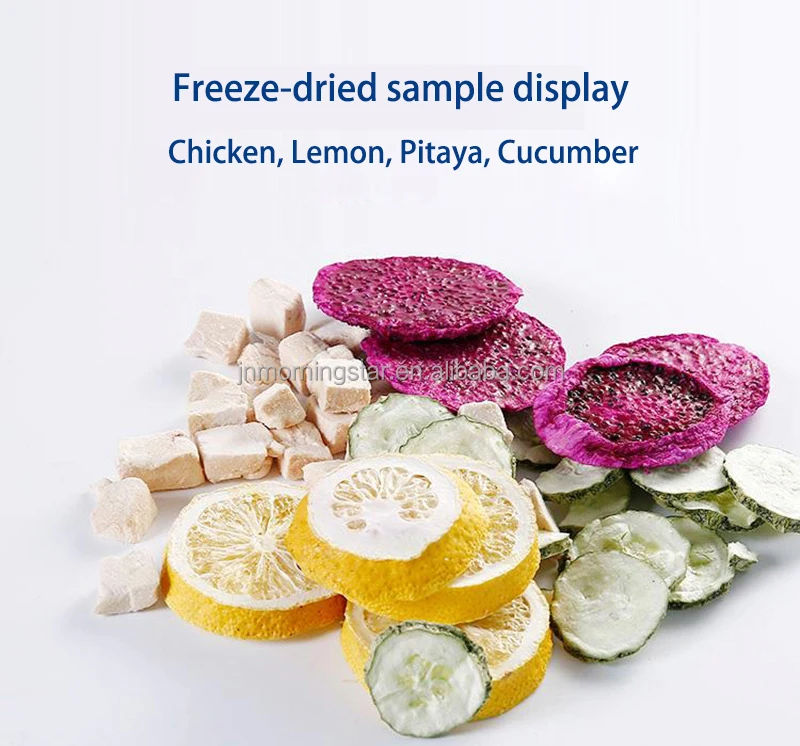 China Lyophilization Equipment Freeze Drying Lyophilizer Machine Industrial Fruit Food Vacuum Freeze Dryer