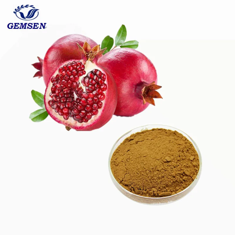Best quality 80% 90% 95% 98% Pomegranate Bark Extract Powder Pomegranate Extract Powder Ellagic Acid