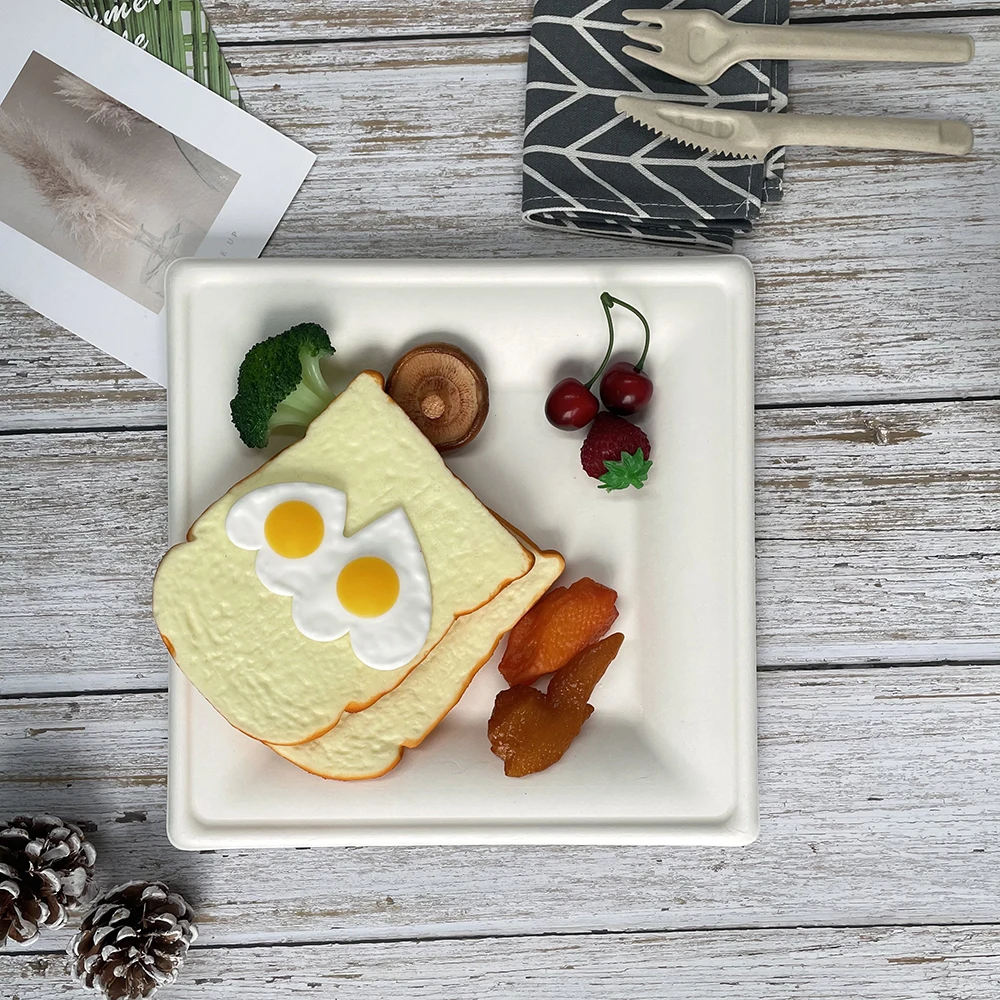 Disposable White 100% Compostable Super Strong 10 inch Squared Sugarcane Bagasse Plate For Restaurant