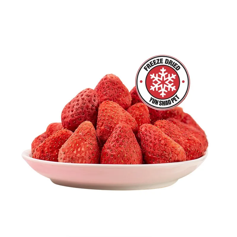 OEM  100% natural freeze drying fruit vegan dog treat MANGO wholesale in bulk and OEM packing