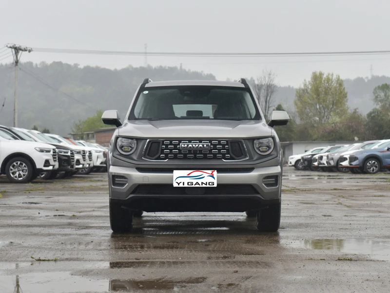 Haval New Energy Electric Suv Vehicle for Second Generation Dargo II Used Car DHT-PHEV 105km 2024