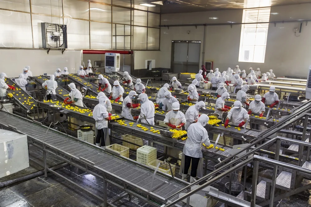 820g canned peach with pear juice in light syrup