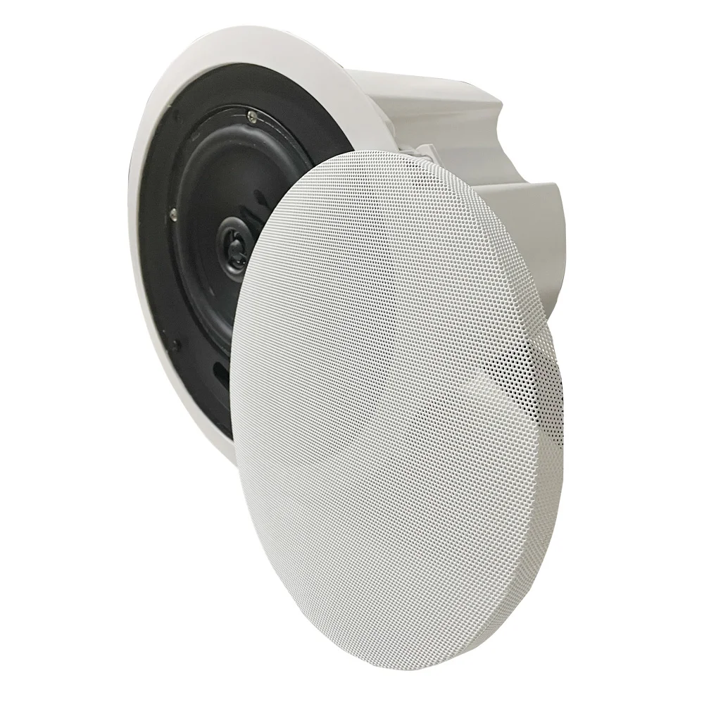 amazon alexa echo dot 4th generation voice AI Control ceiling speaker