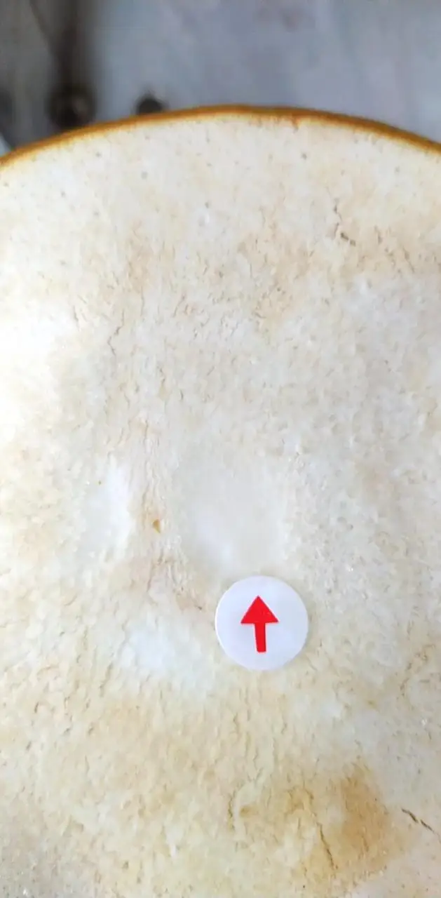 Свежий молодой кокос из Вьетнама/форма алмаза-Whatsapp