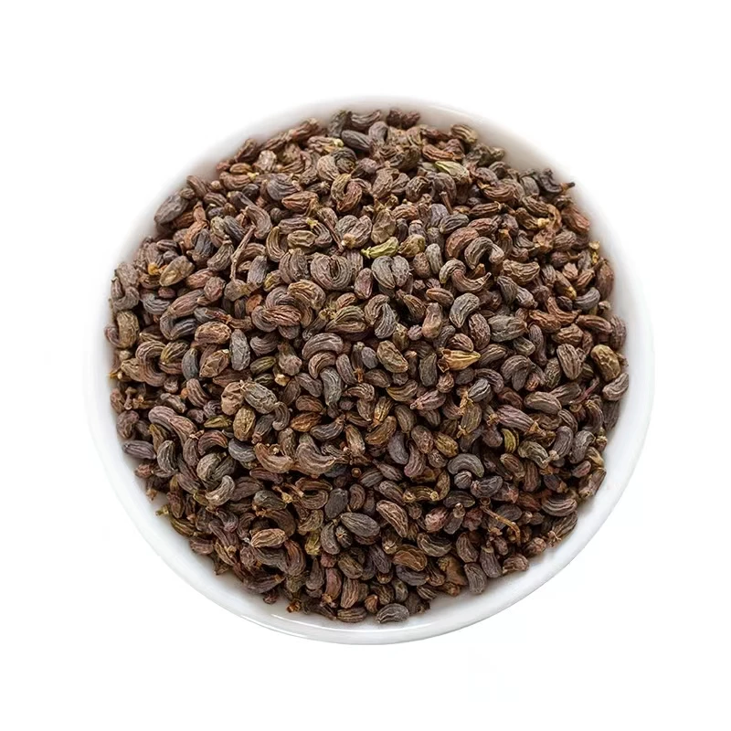 Nv zhen zi высокое качество Натуральные Сушеные глянцевые лигустры люцидум Ait семена дерева