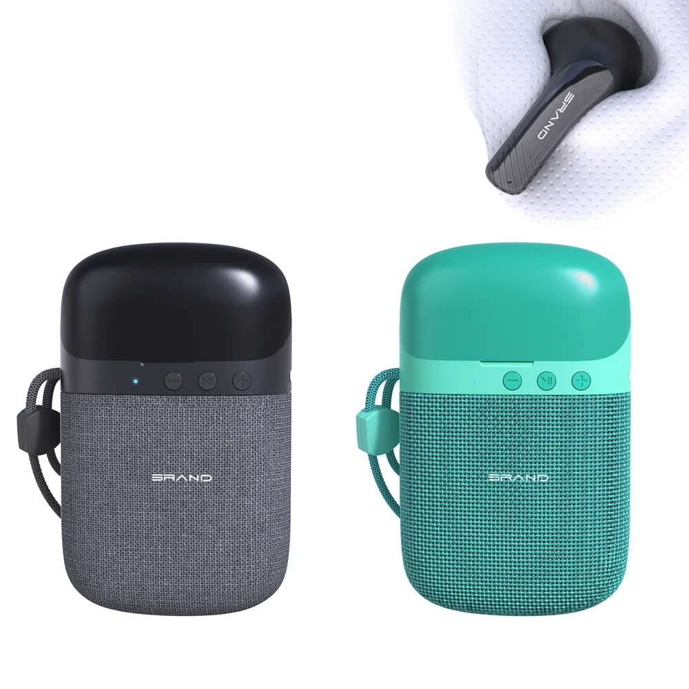 Factory Price Newest 2 in 1 Wireless Blue Tooth TWS Earphone BT Speaker with Earbuds