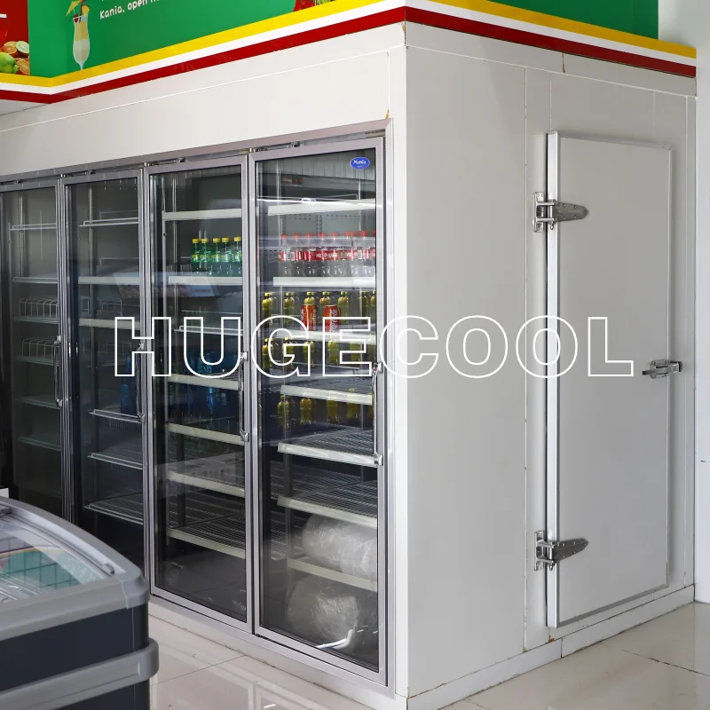 Display walk in freezer with 3 panel argon gas glass door